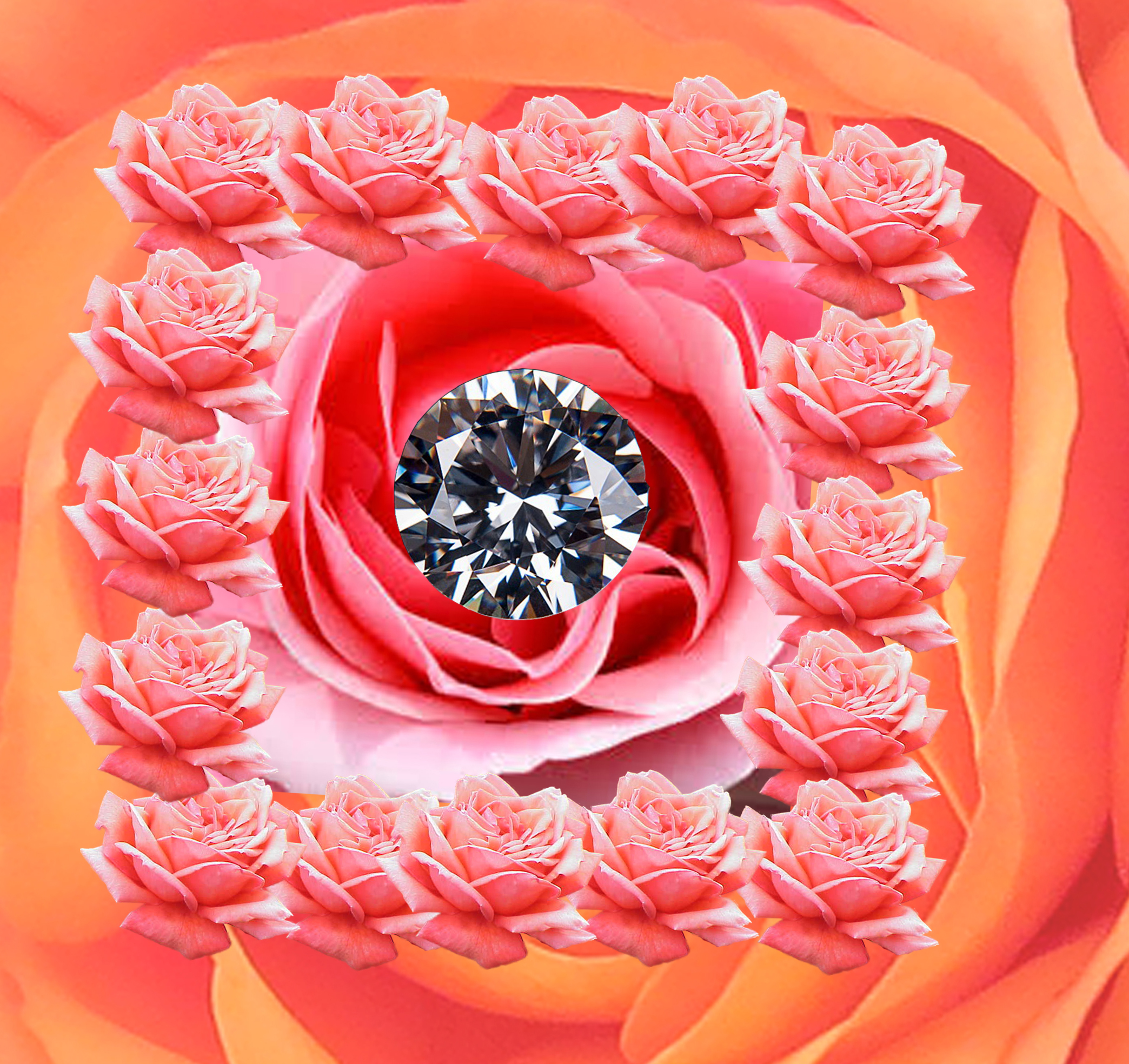 Diamond in my rose